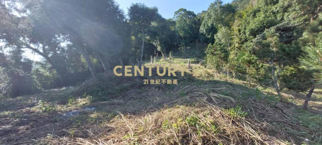 JC267礁溪近空A咖啡景觀農地