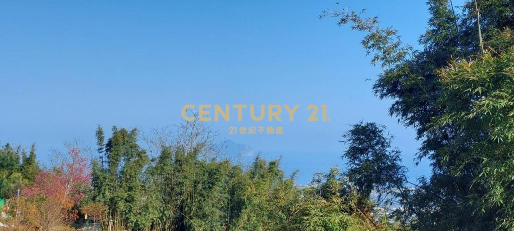 JC267礁溪近空A咖啡景觀農地