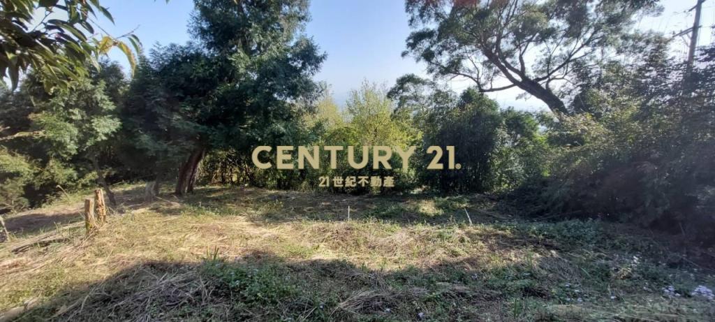 JC267礁溪近空A咖啡景觀農地