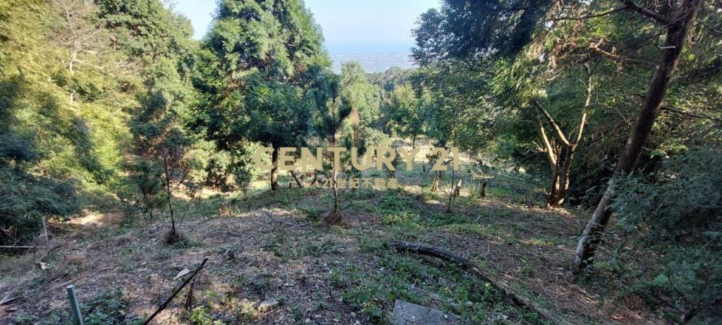 JC267礁溪近空A咖啡景觀農地