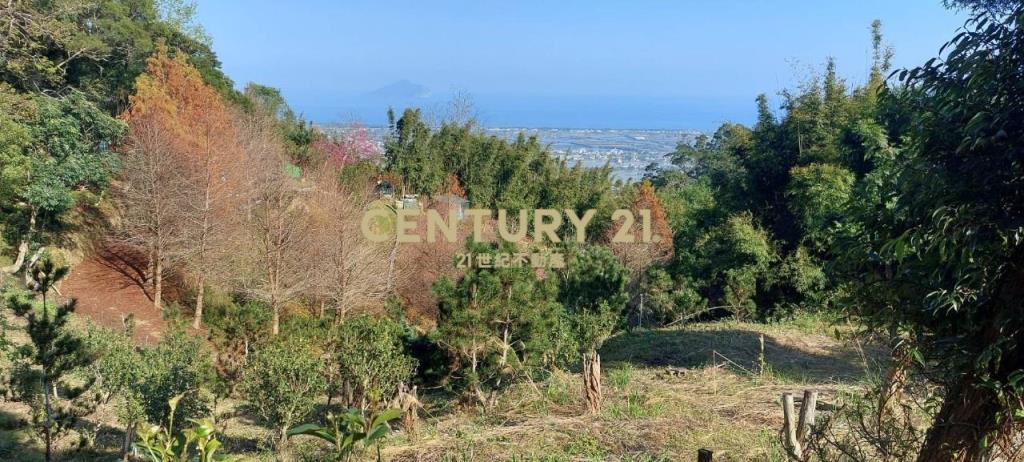 JC267礁溪近空A咖啡景觀農地