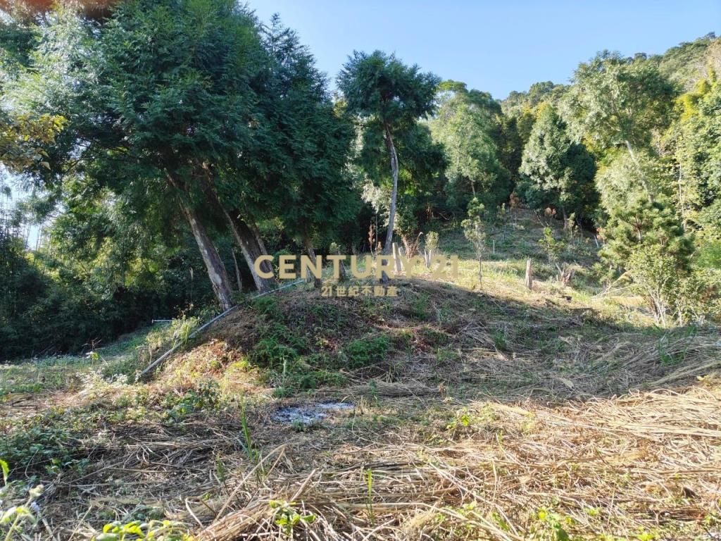 JC267礁溪近空A咖啡景觀農地