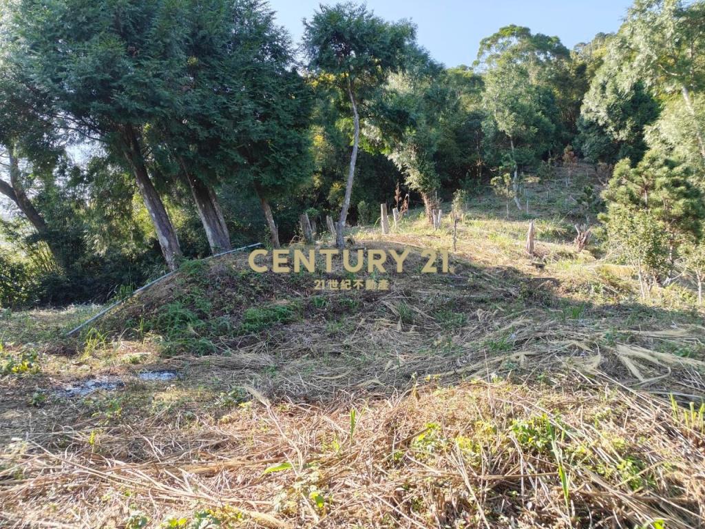 JC267礁溪近空A咖啡景觀農地