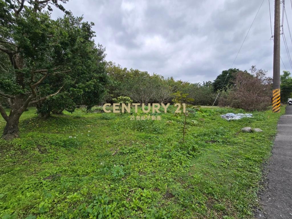 JC319頭城交流旁大坪數農地