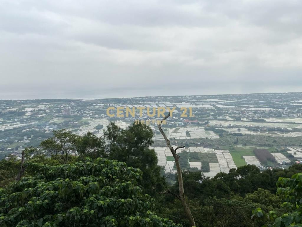 JC326山海明珠旁景觀林地