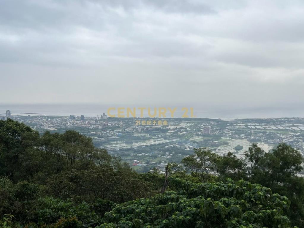 JC326山海明珠旁景觀林地