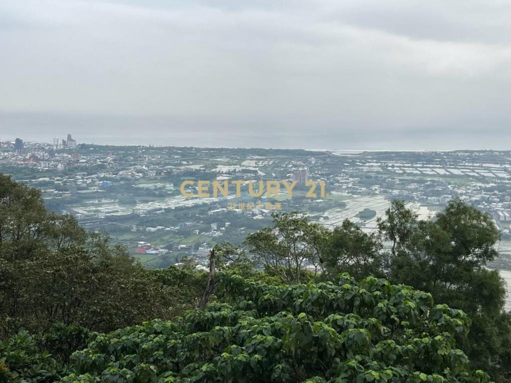 JC326山海明珠旁景觀林地