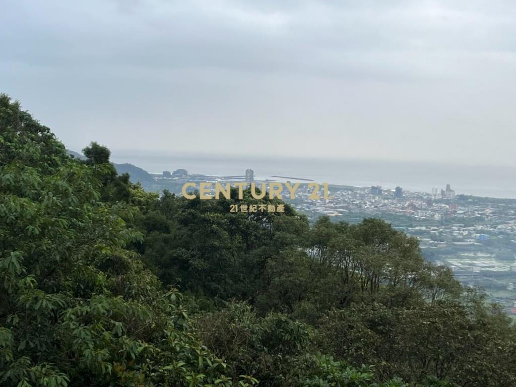 JC326山海明珠旁景觀林地