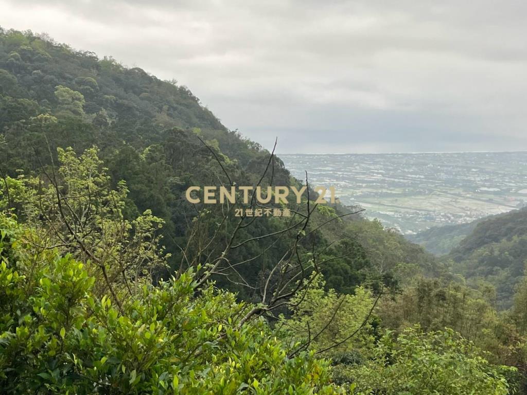 JC326山海明珠旁景觀林地