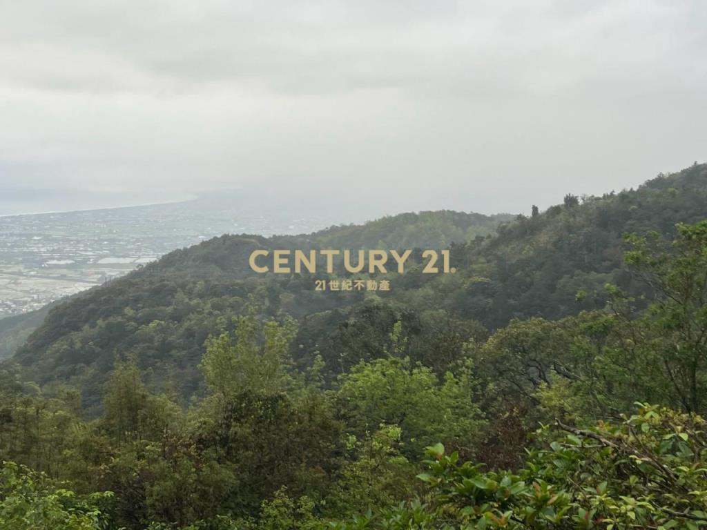 JC326山海明珠旁景觀林地