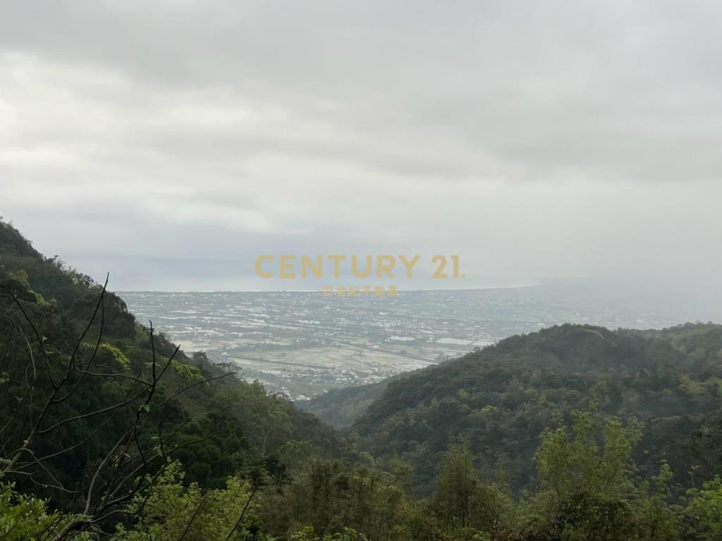 JC326山海明珠旁景觀林地