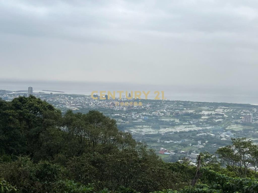 JC326山海明珠旁景觀林地