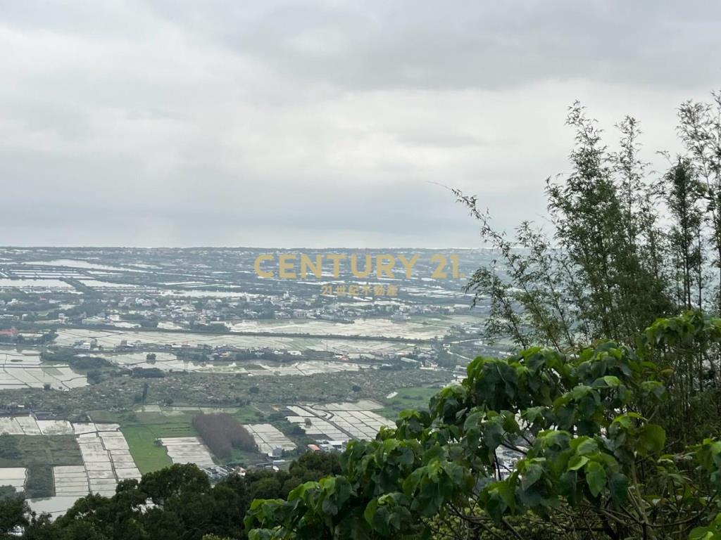 JC326山海明珠旁景觀林地