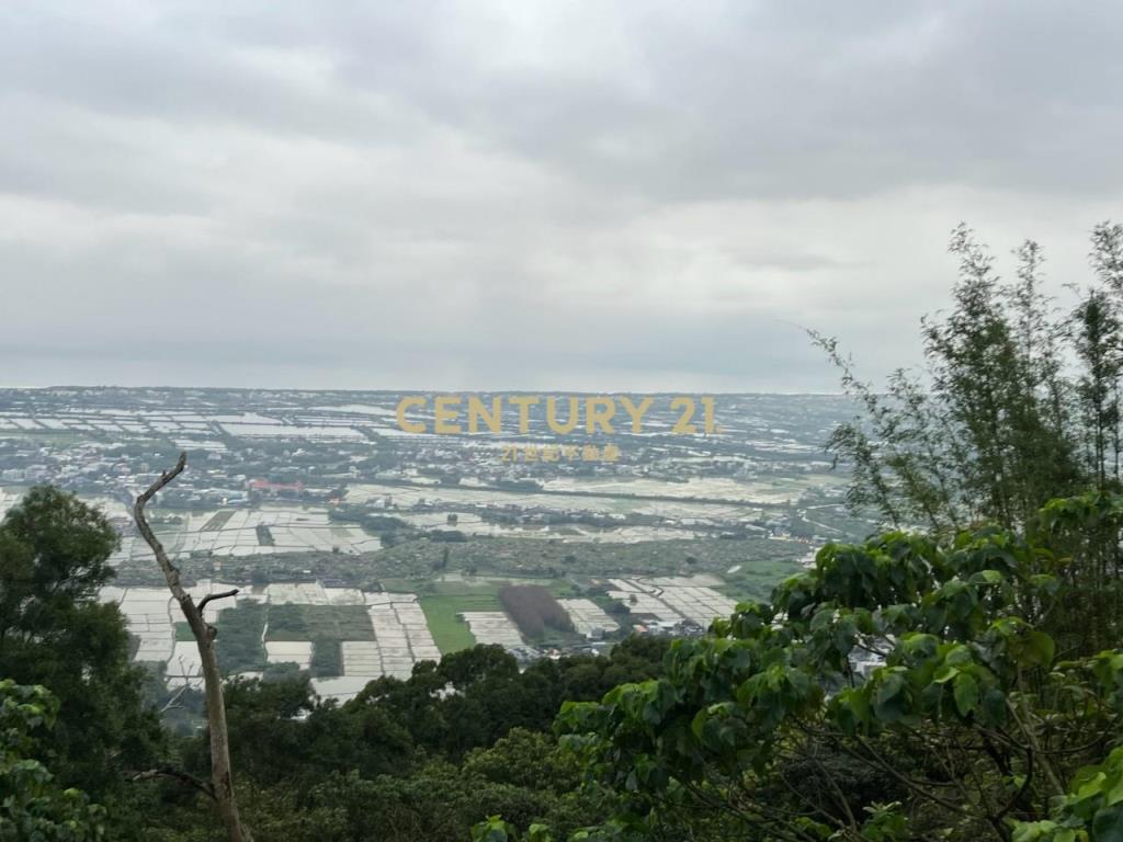 JC326山海明珠旁景觀林地