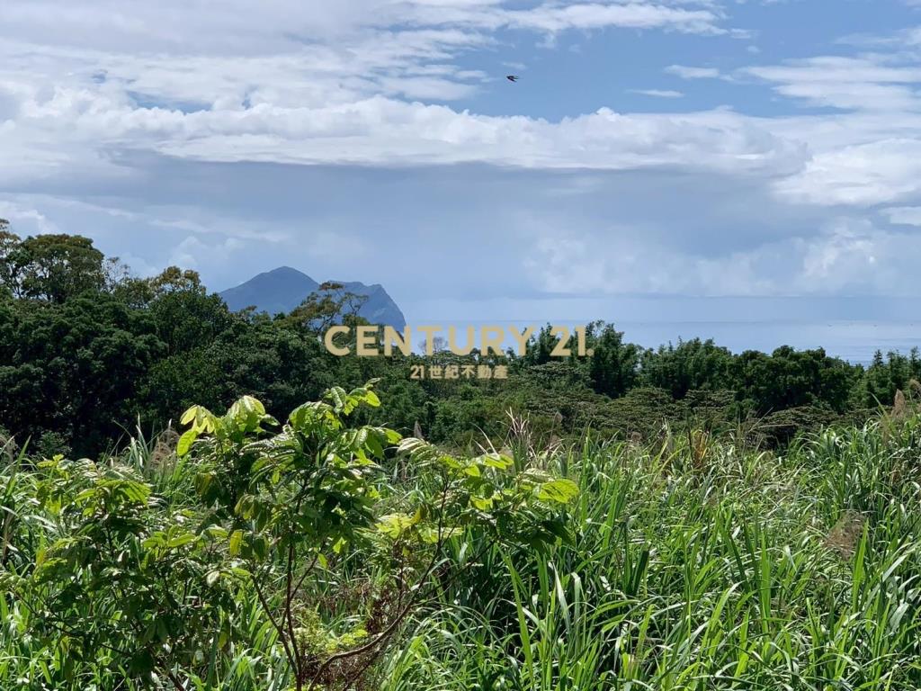 JE091龜山島美景農舍莊園