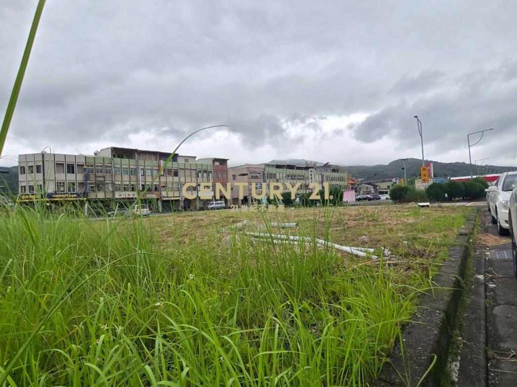 JD141頭城麥當勞旁建地A