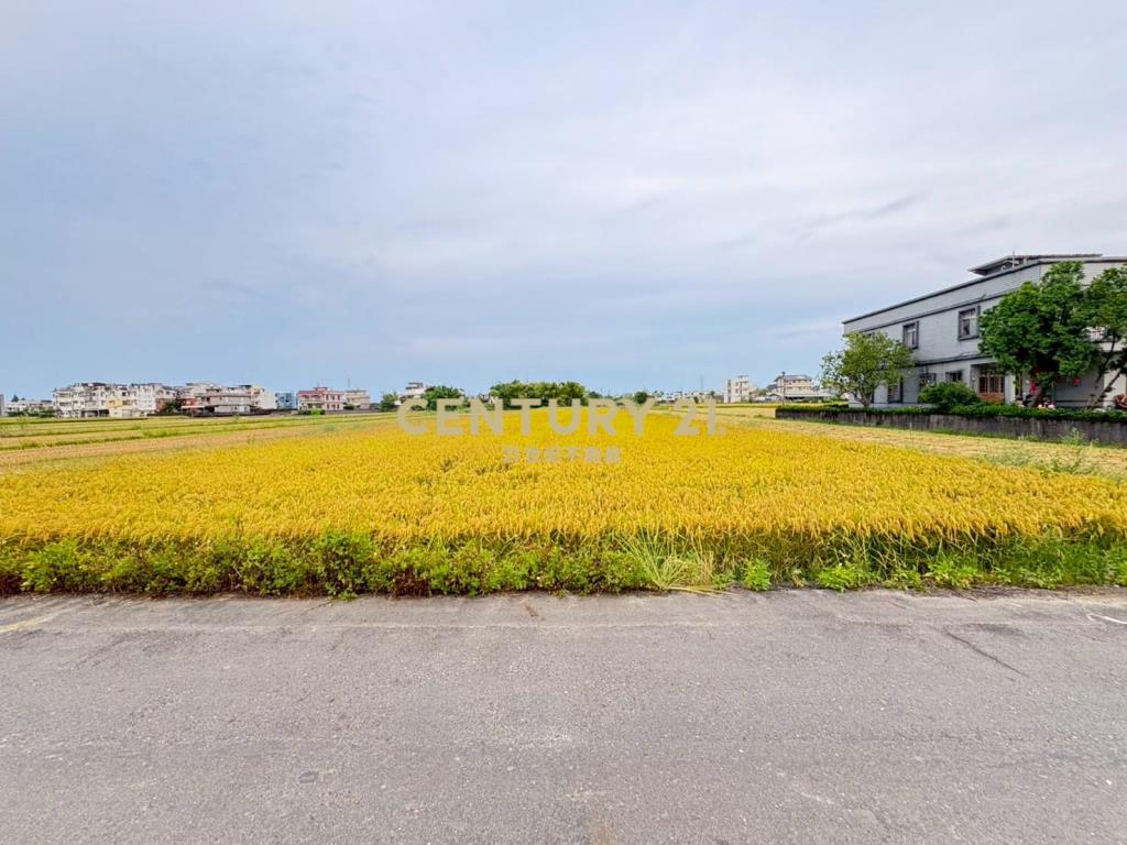 JC347縣政高鐵蛋黃區千坪農地