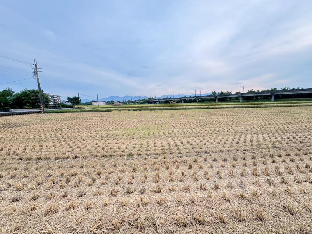 JC347縣政高鐵蛋黃區千坪農地