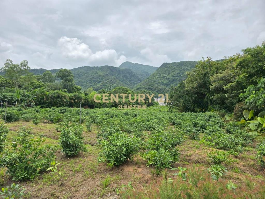 JC350頭城交流道買地送屋