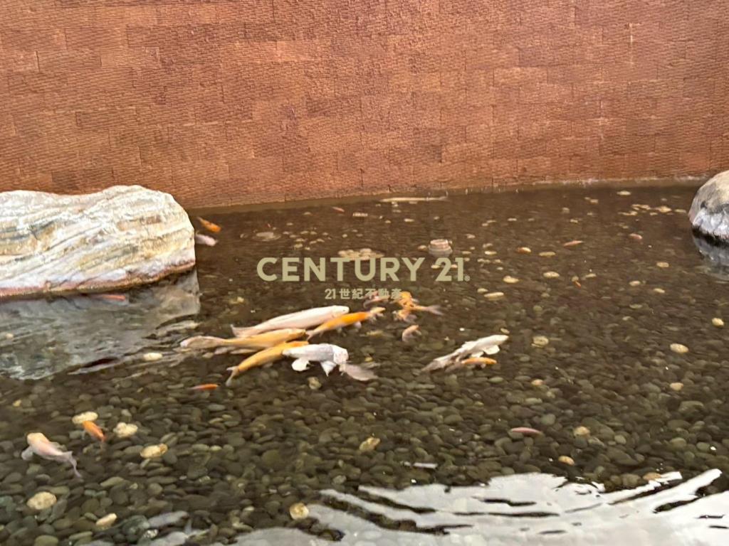 JA443山那邊日式溫泉湯屋