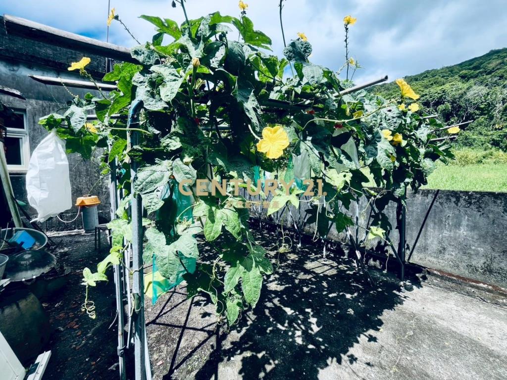 JD149頭城金盈古厝臨路農建地