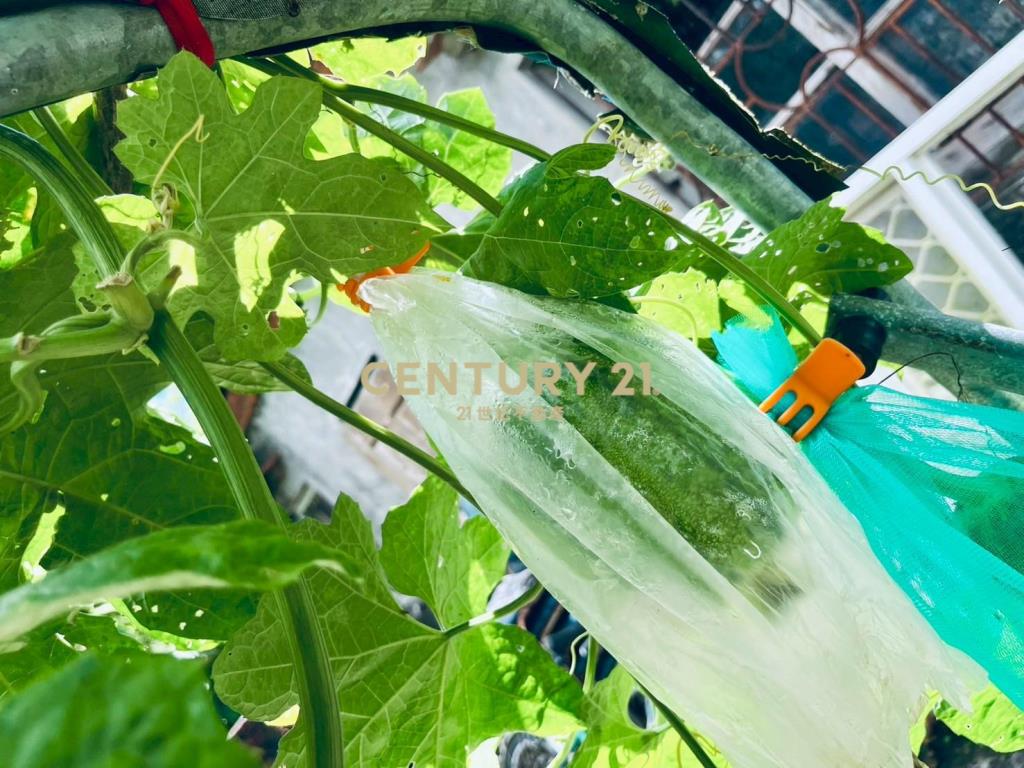 JD149頭城金盈古厝臨路農建地