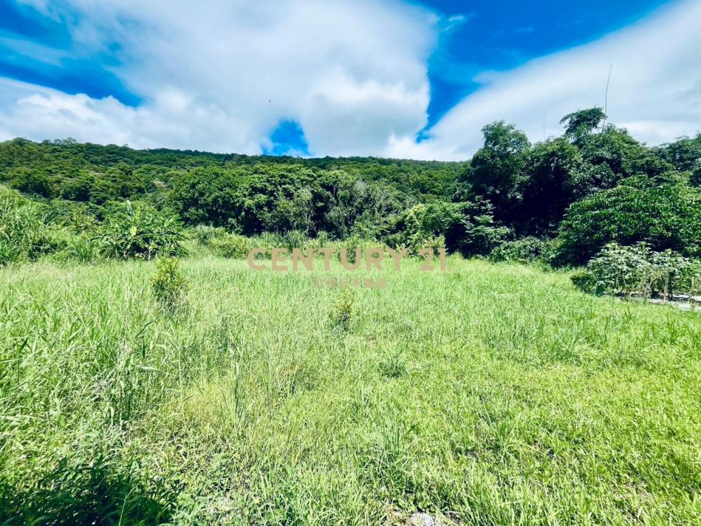 JD149頭城金盈古厝臨路農建地