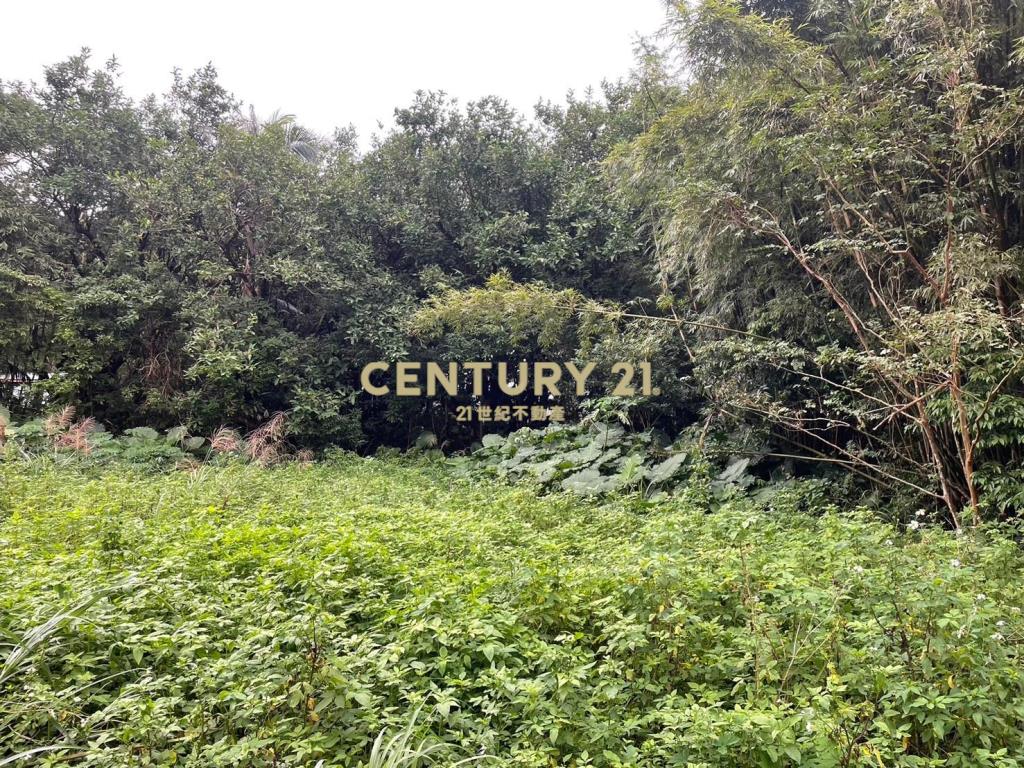 JD153頭城人文國小旁優質建地