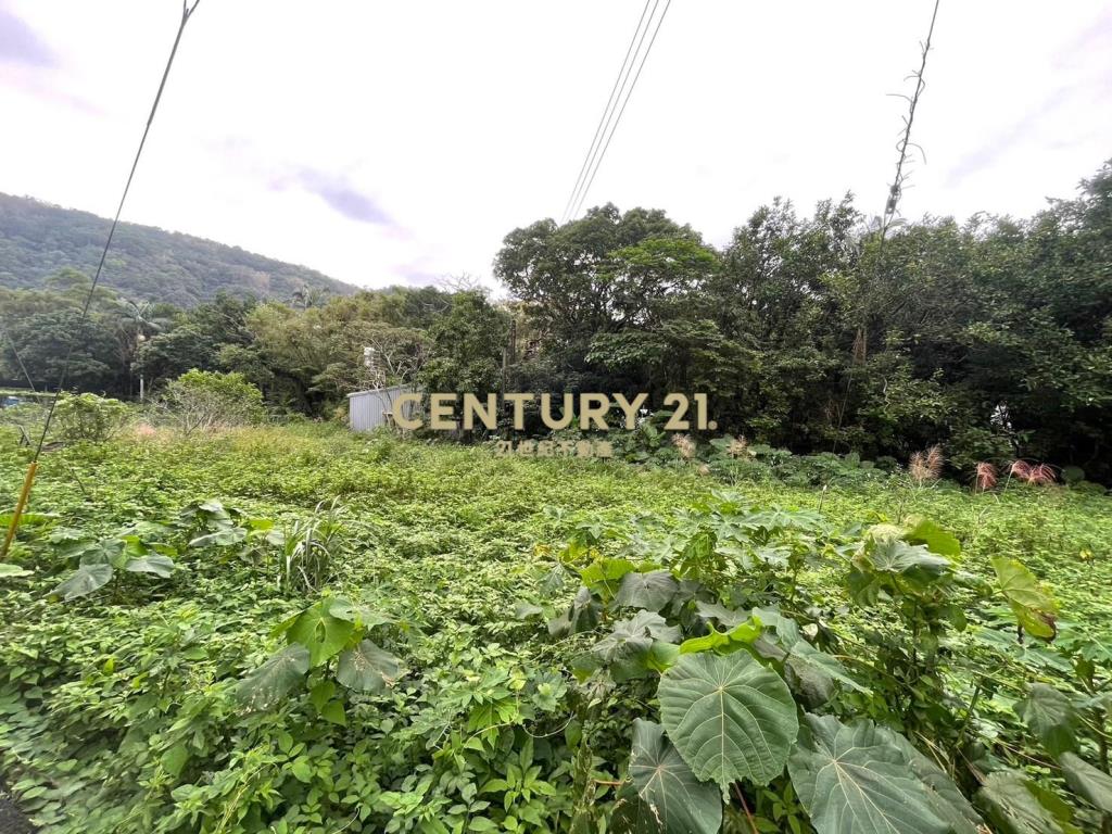 JD153頭城人文國小旁優質建地