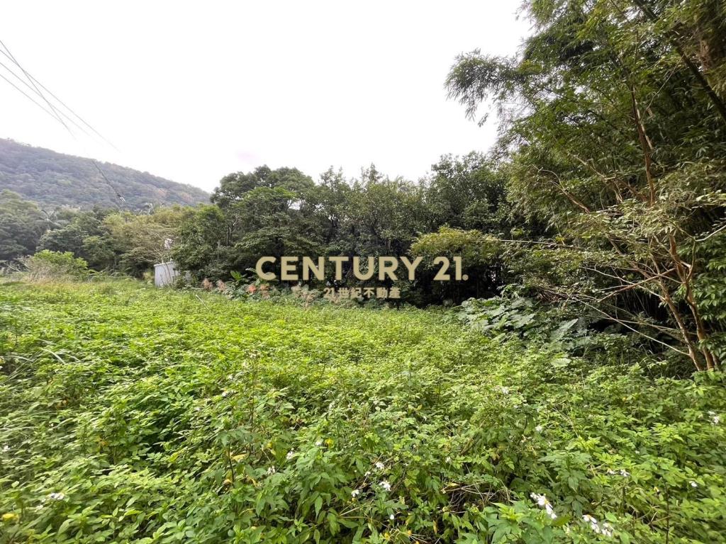 JD153頭城人文國小旁優質建地