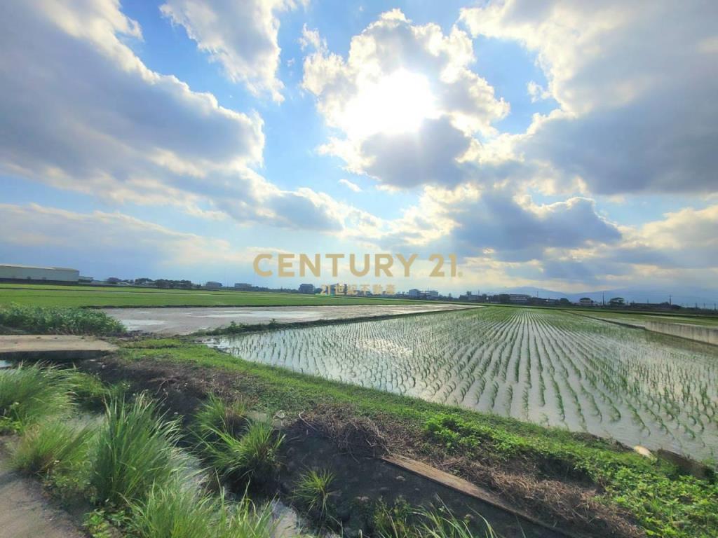 JC365復興段556農地