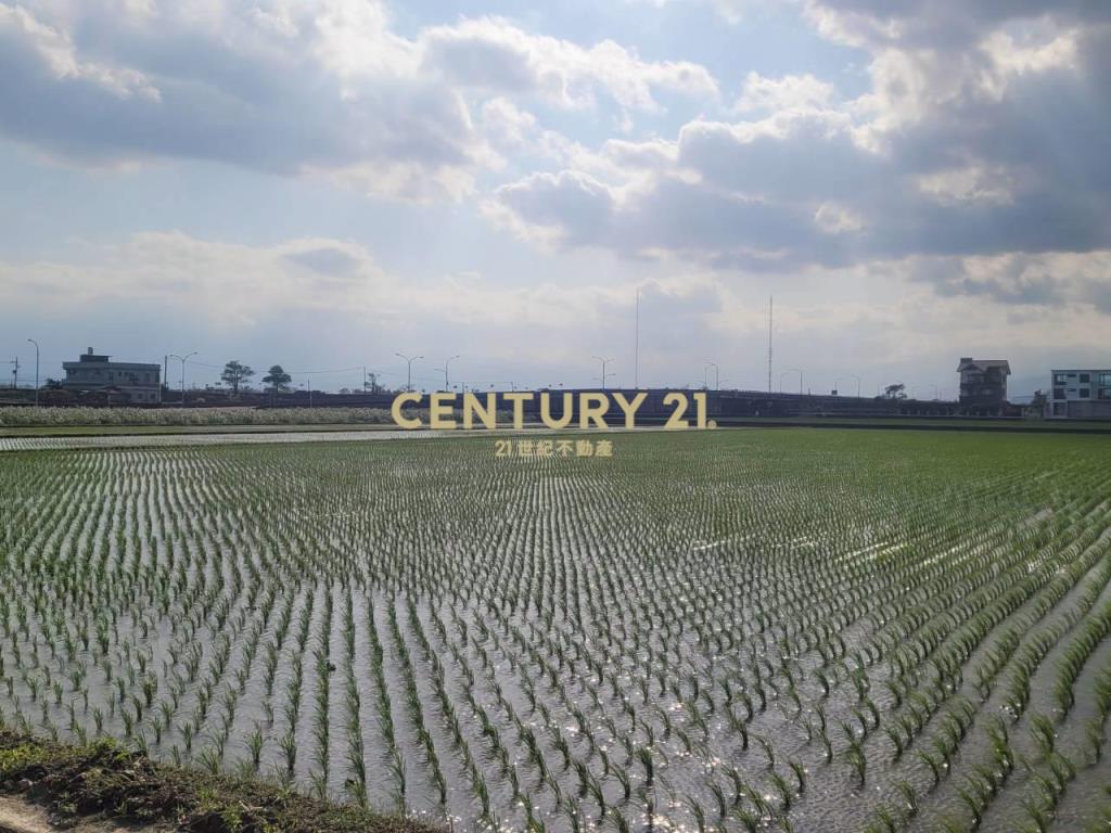 JC365復興段556農地