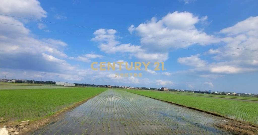 JC365復興段556農地