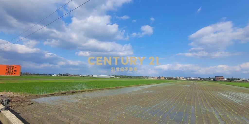 JC365復興段556農地