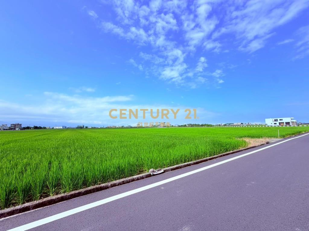 JC367高鐵預定旁20米大面寬中興地主