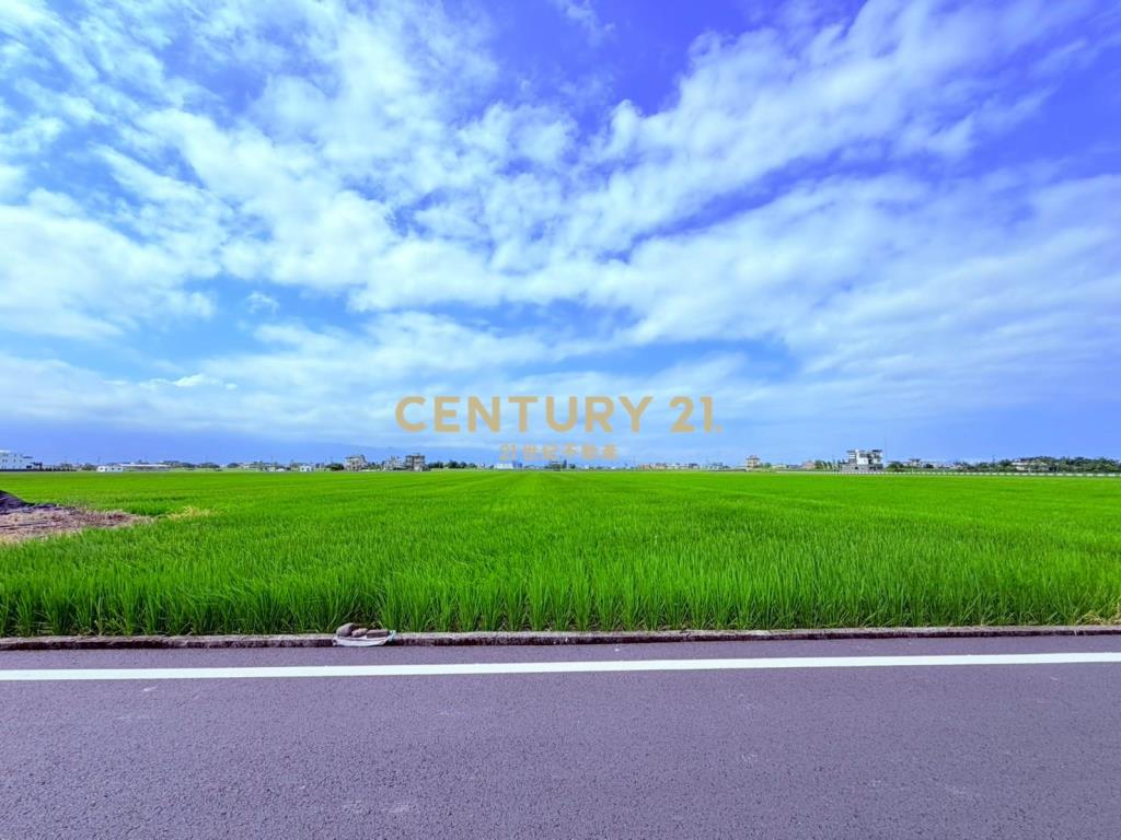 JC367高鐵預定旁20米大面寬中興地主
