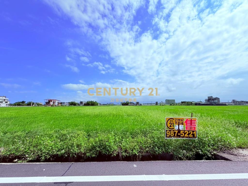 JC367高鐵預定旁20米大面寬中興地主