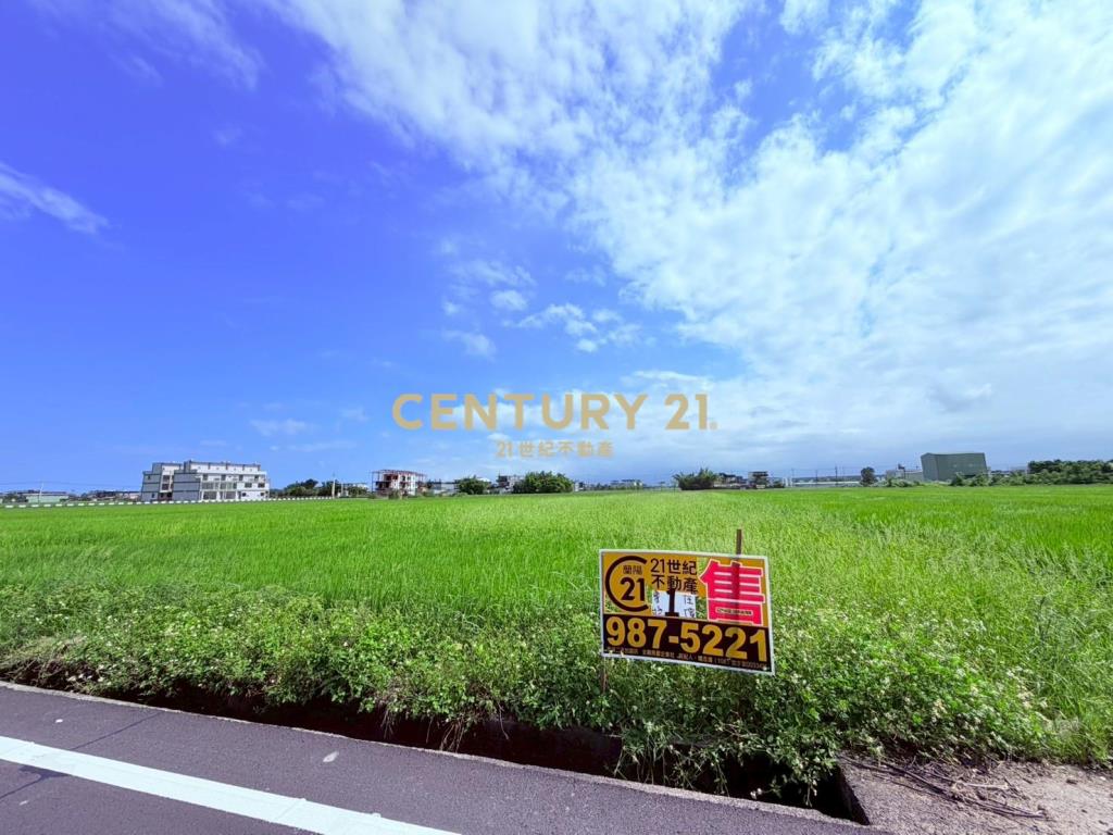 JC367高鐵預定旁20米大面寬中興地主