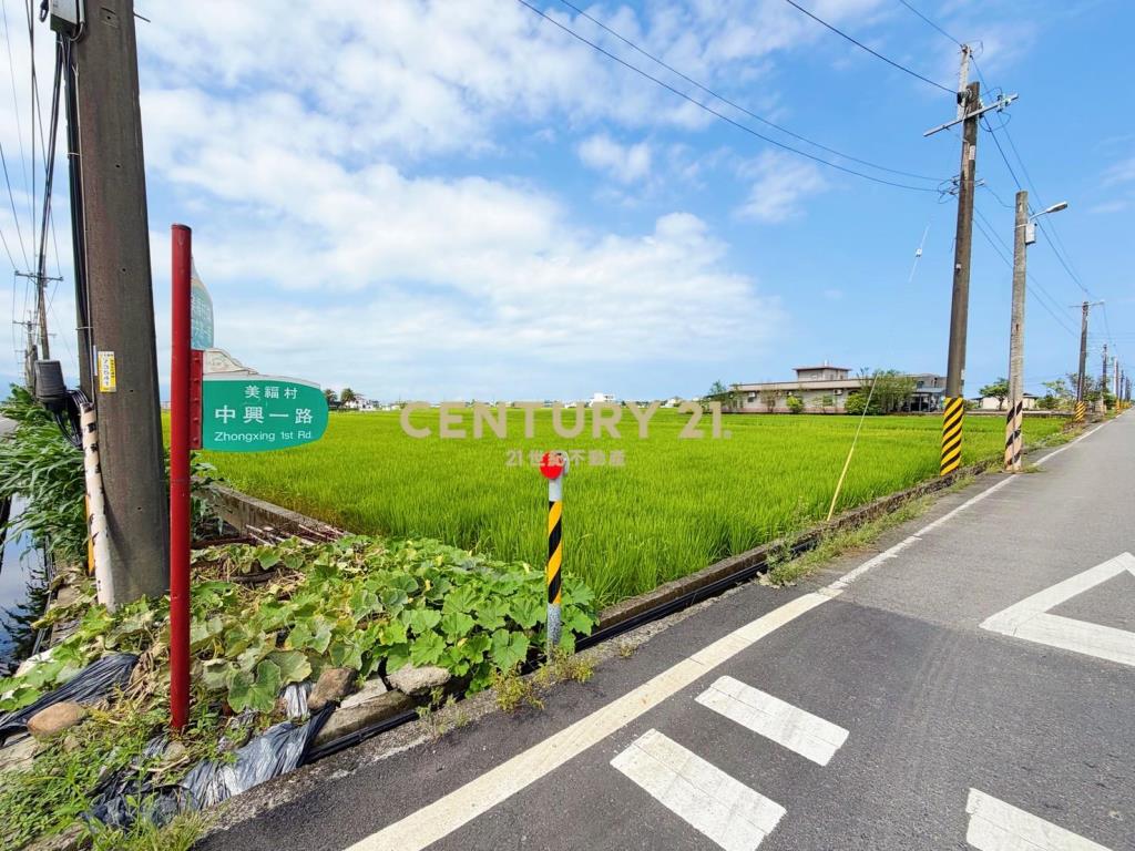 JC367高鐵預定旁20米大面寬中興地主