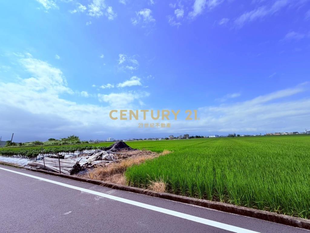 JC367高鐵預定旁20米大面寬中興地主