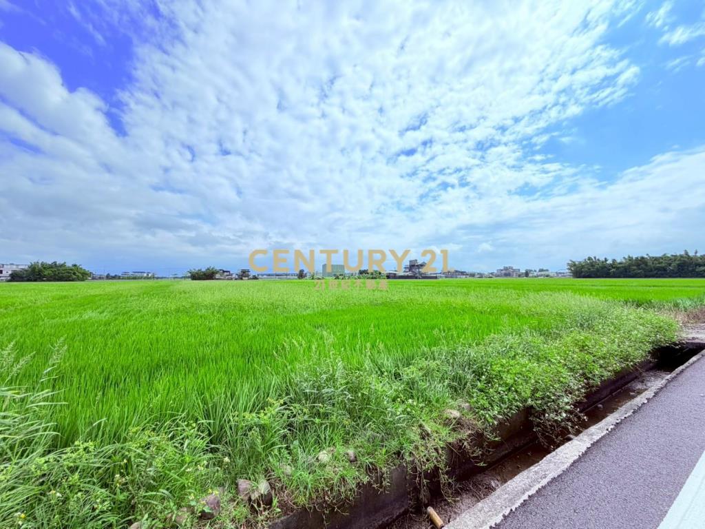 JC367高鐵預定旁20米大面寬中興地主