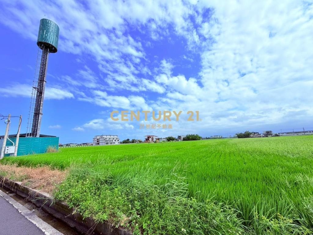 JC367高鐵預定旁20米大面寬中興地主