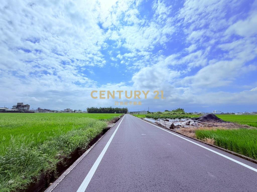 JC367高鐵預定旁20米大面寬中興地主