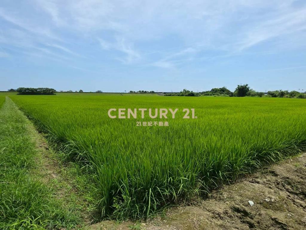JC369壯圍復興段342方正農地