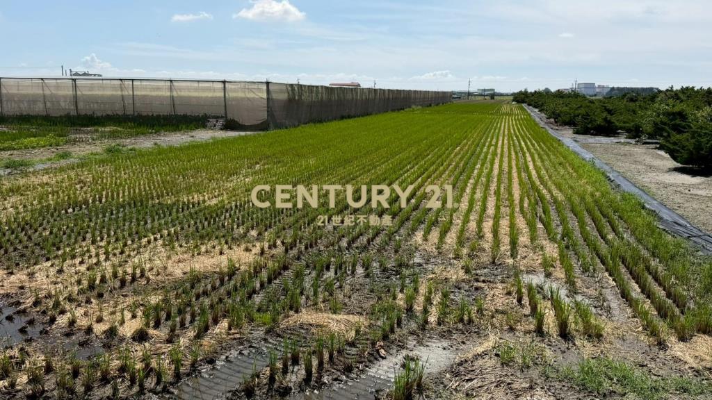 JC376埤頭工業區旁增值農地