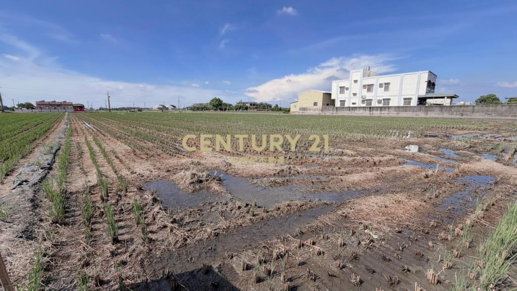 JC377埤頭新庄段方正美農地
