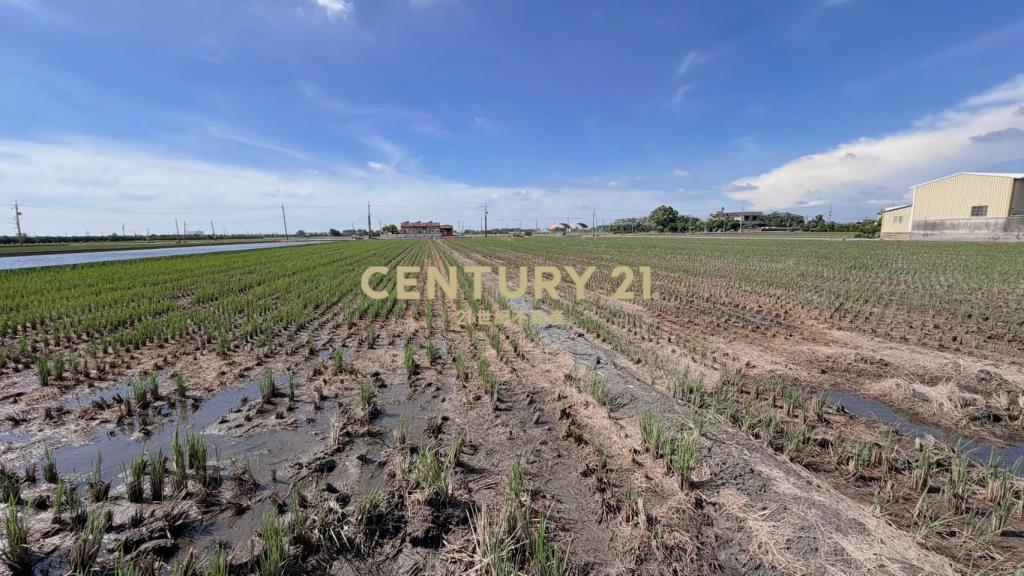 JC377埤頭新庄段方正美農地