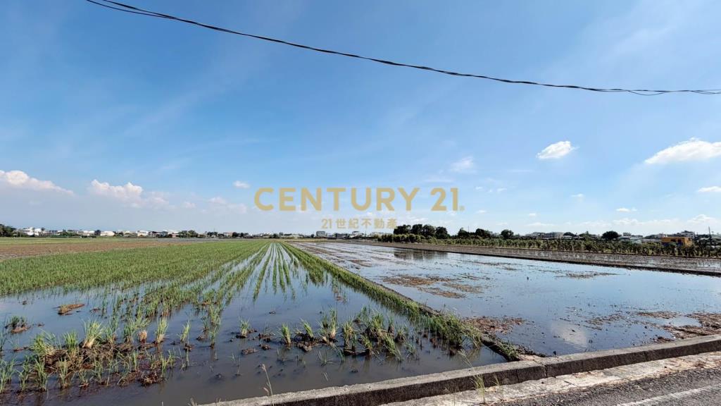 JC377埤頭新庄段方正美農地