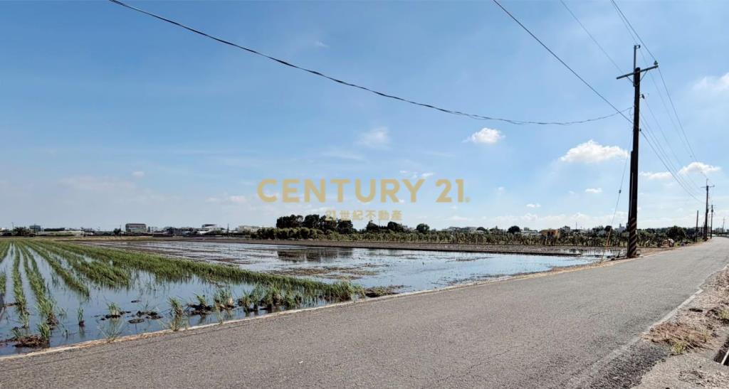 JC377埤頭新庄段方正美農地