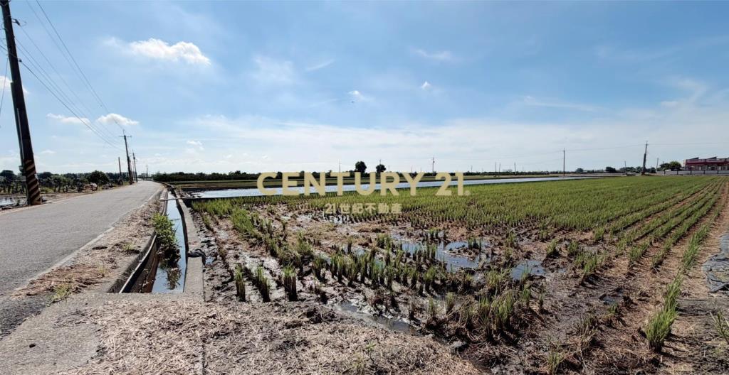 JC377埤頭新庄段方正美農地